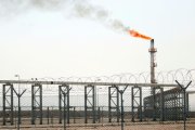Iraq faces financial calamity after crude crash