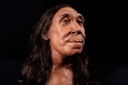 Face of 75,000-year-old Neanderthal woman revealed