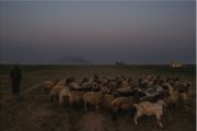 Dark victory in Raqqa