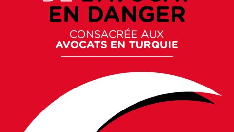 Journée internationale de l'avocat en danger : rassemblement pour les avocats turcs menacés
