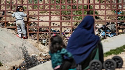 « Ces enfants n’ont pas choisi de partir en Syrie, ils sont innocents » : l’appel de 175 parlementaires
