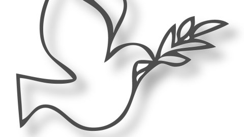 SIGNATURES: Nous, enseignants-chercheurs de Turquie, nous ne serons pas complices de ce crime !