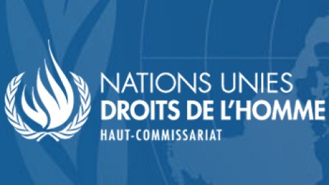 Un rapport des Nations Unies fait état de destructions massives et de graves violations des droits dans le Sud-Est de la Turquie depuis juillet 2015