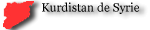 R&eacute;pression AntiKurdes